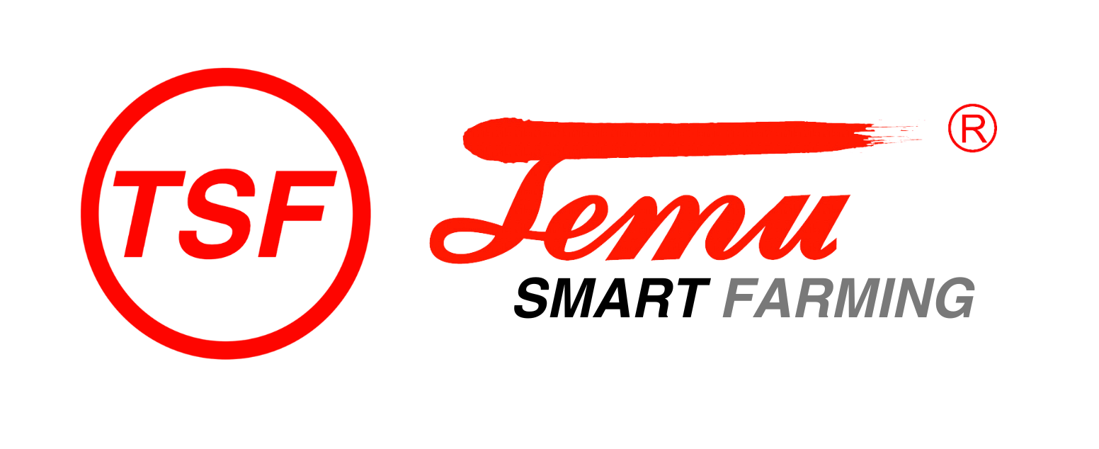 TSF Global