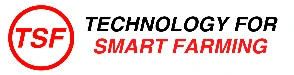 TSF Global